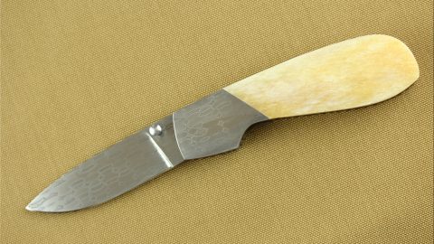 Camel Bone with Stainless